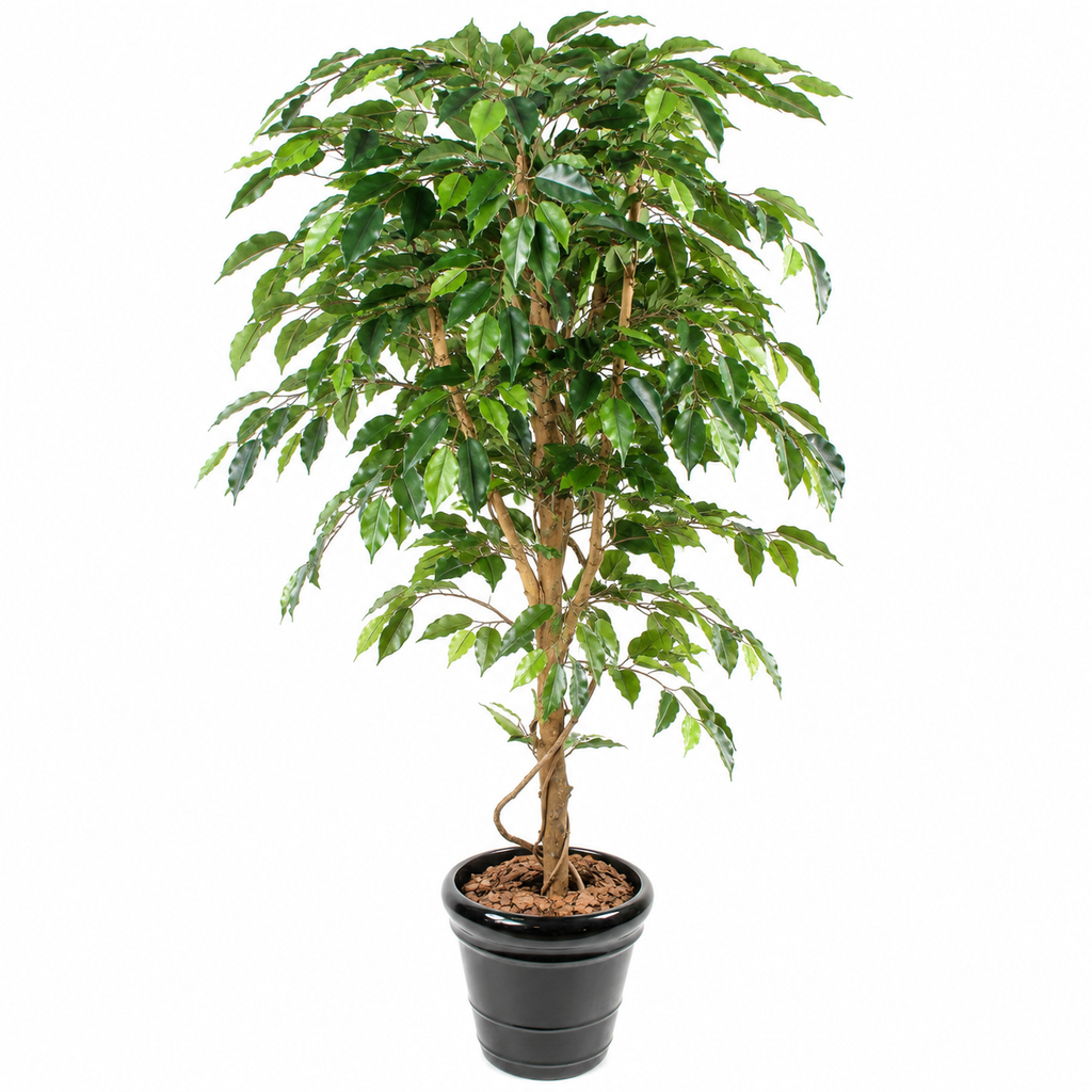 Ficus Artificiel Authentique 120 cm | Belle Verdure