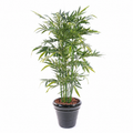 Bambou Artificiel Sora 150 cm | Belle Verdure