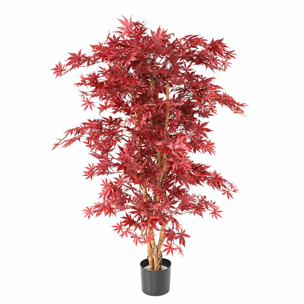 Aralia Artificiel Élégance Rouge 160 cm | Belle Verdure