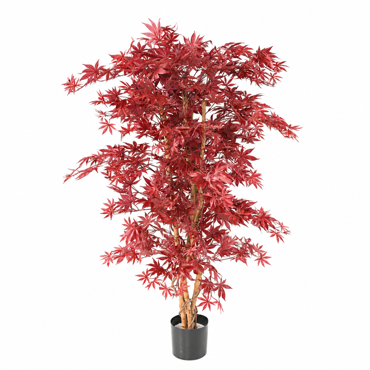 Aralia Artificiel Élégance Rouge 160 cm | Belle Verdure