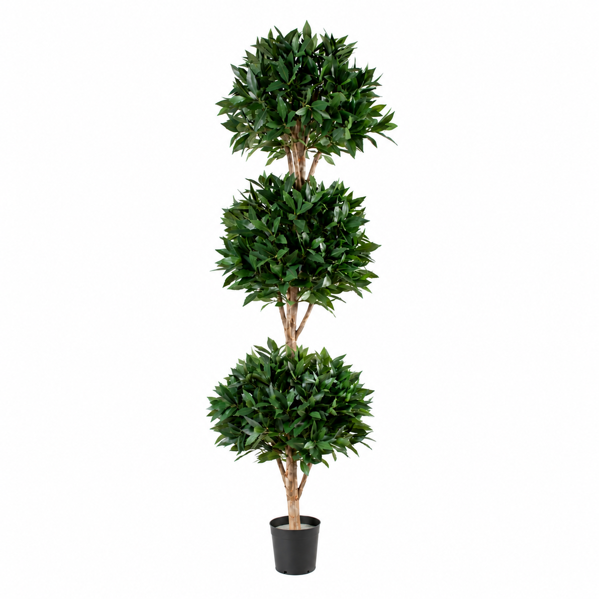 Laurier Artificiel Prestige 165 cm | Belle Verdure