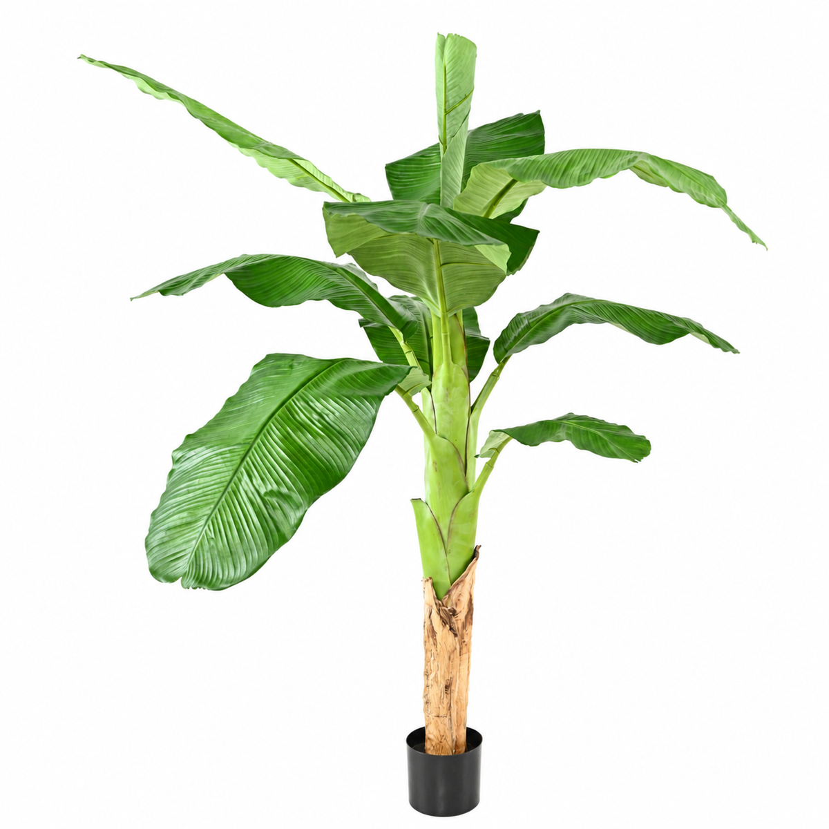Bananier Artificiel Royal 170 cm | Belle Verdure