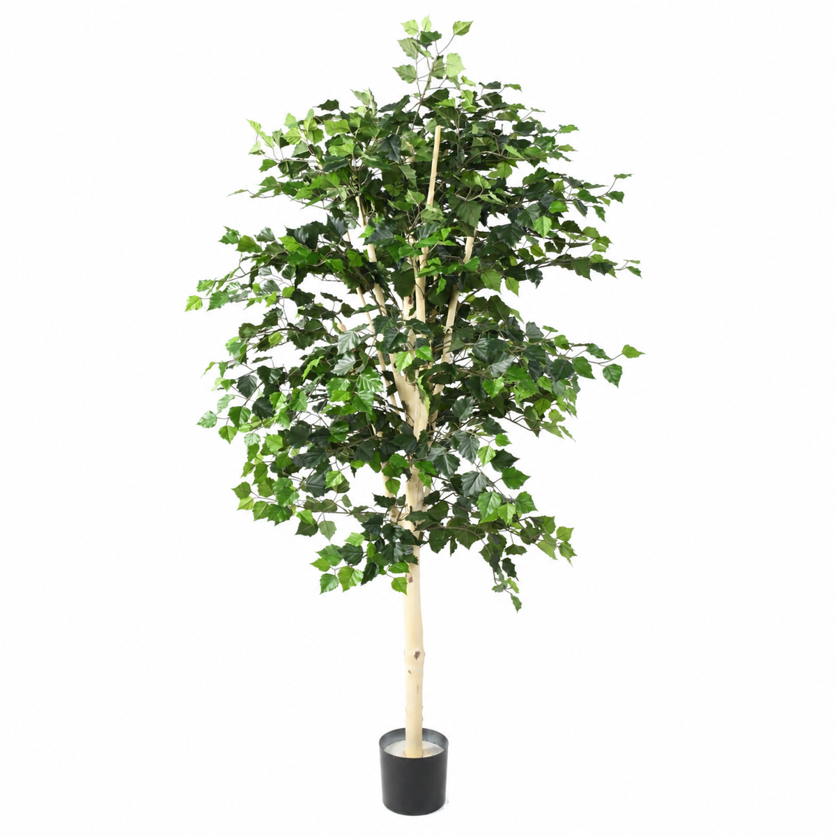 Bouleau Artificiel Signature 170 cm | Belle Verdure