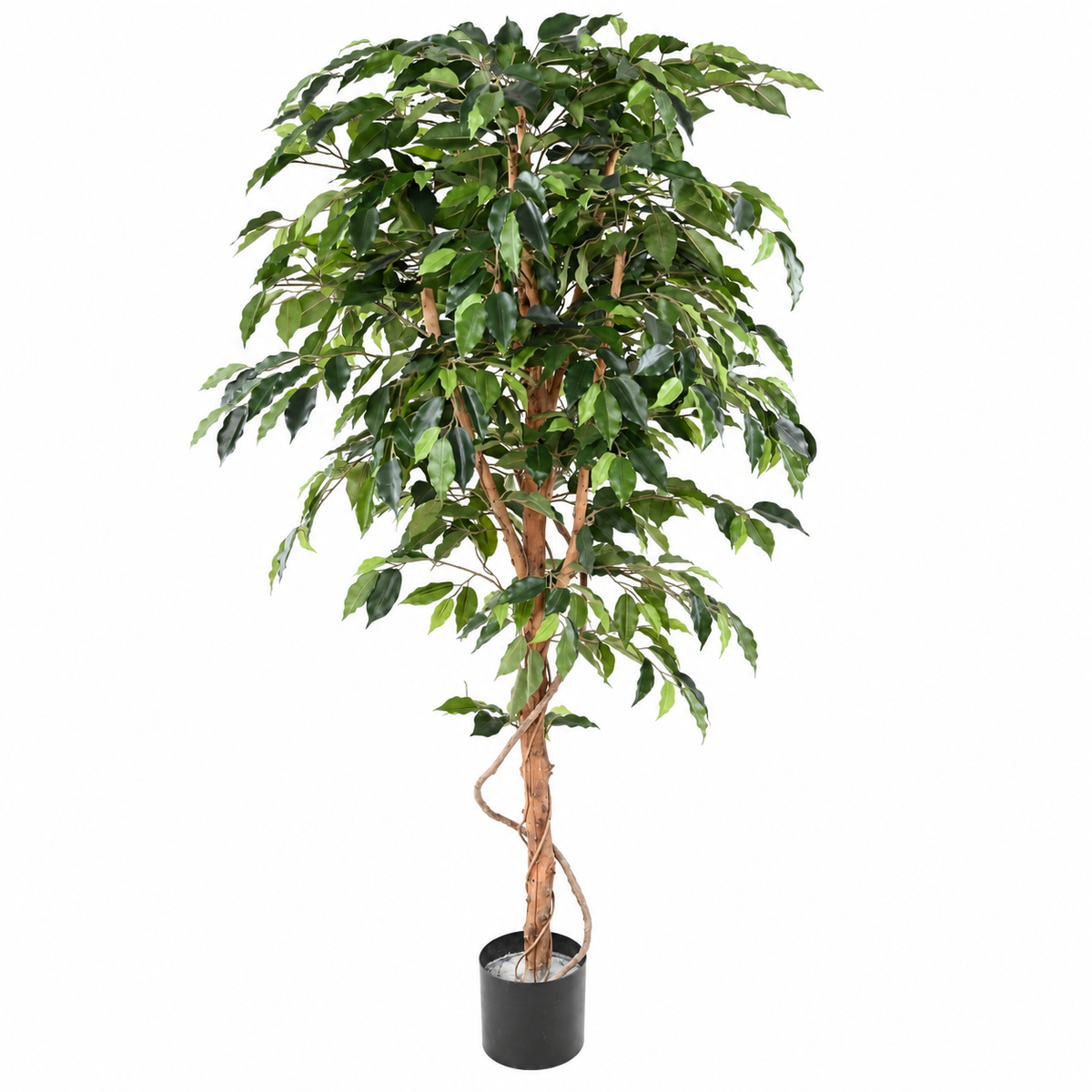 Ficus Artificiel Authentique 180 cm | Belle Verdure