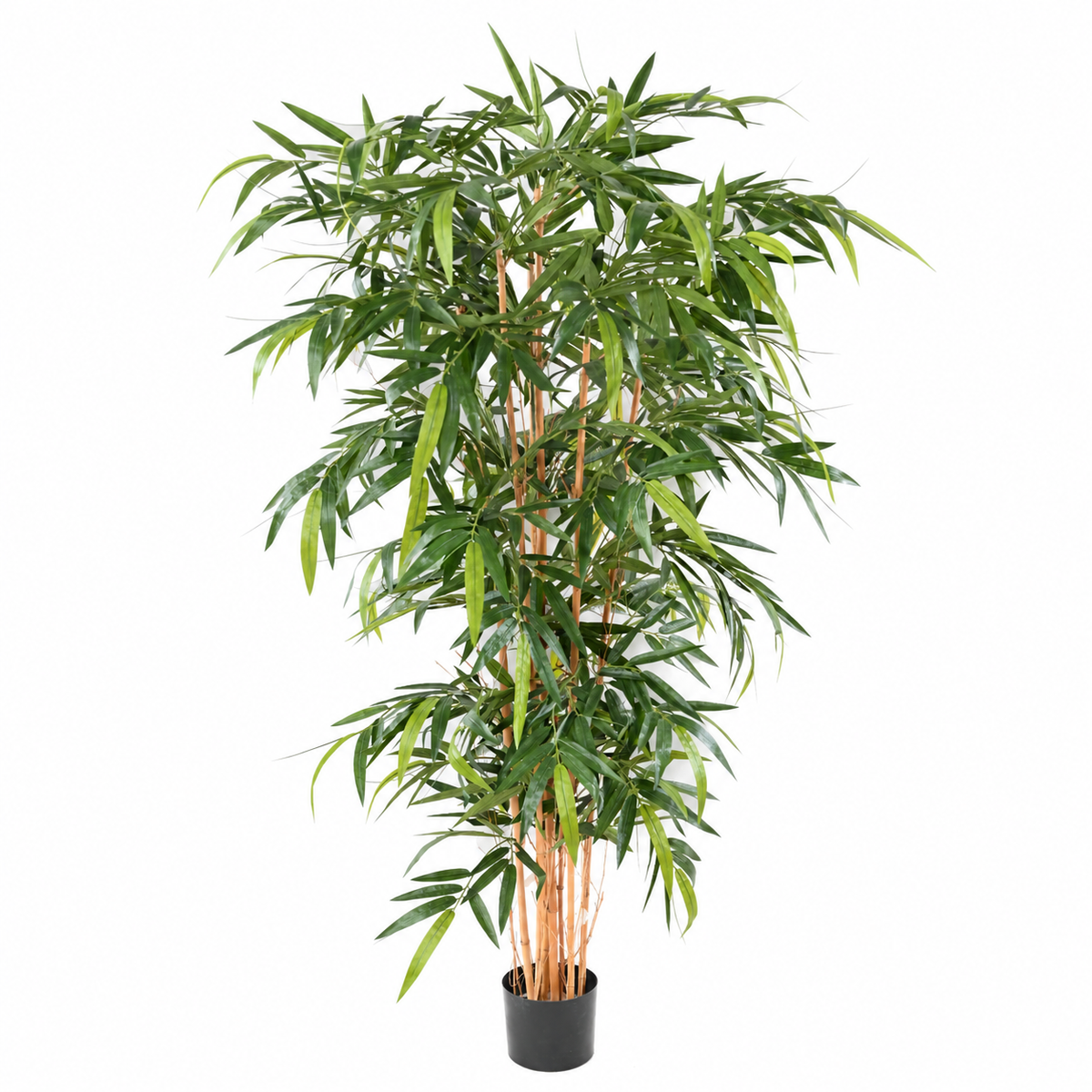 Bambou Artificiel Signature 180 cm | Belle Verdure