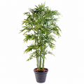 Bambou Artificiel Sora 180 cm | Belle Verdure
