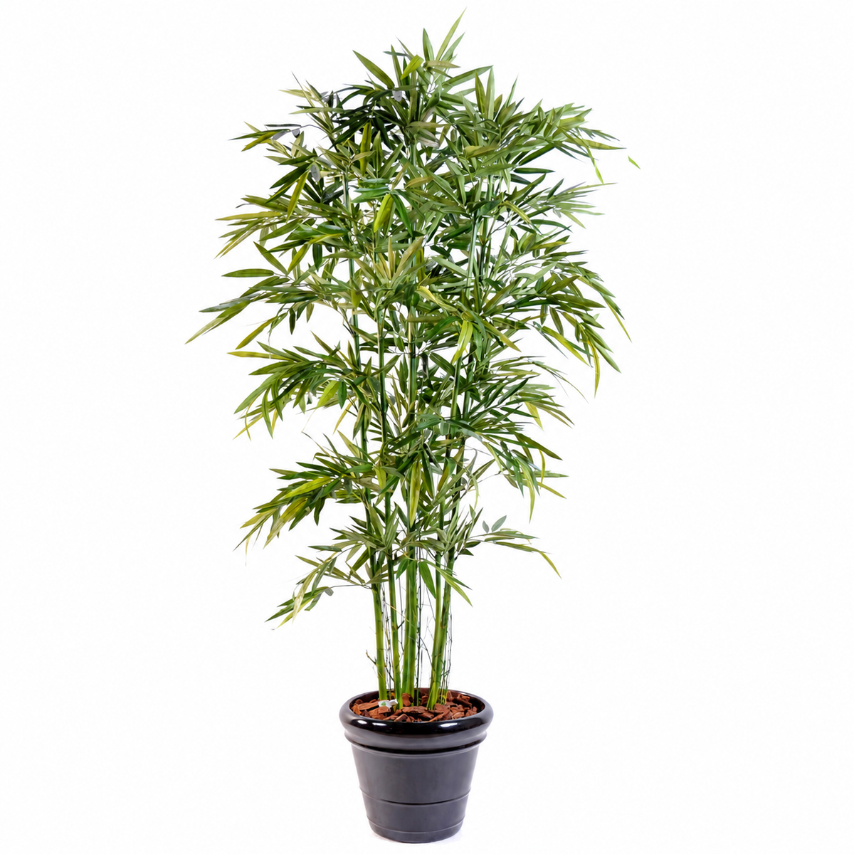 Bambou Artificiel Sora 180 cm | Belle Verdure