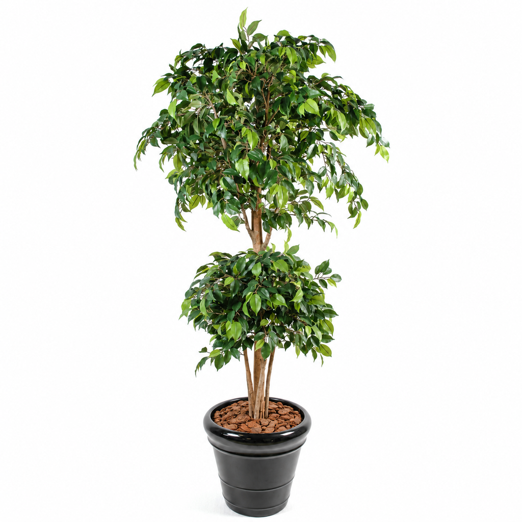 Ficus Artificiel Double Boule 180 cm | Belle Verdure