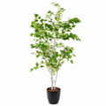 Bouleau Artificiel Classique 180 cm | Belle Verdure