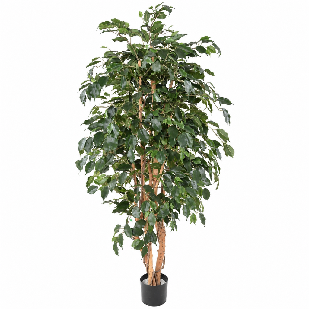 Ficus Artificiel Exotica 180 cm | Belle Verdure