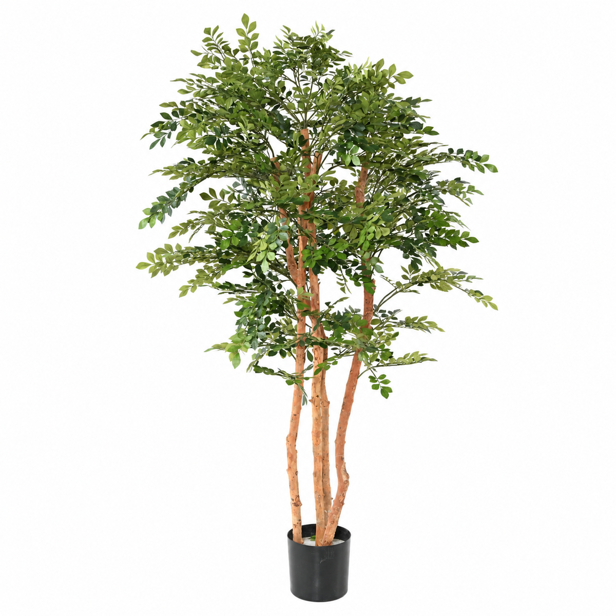 Acacia Artificiel Signature 200 cm | Belle Verdure