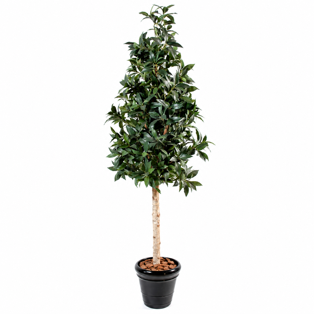 Laurier Artificiel Signature 210 cm | Belle Verdure