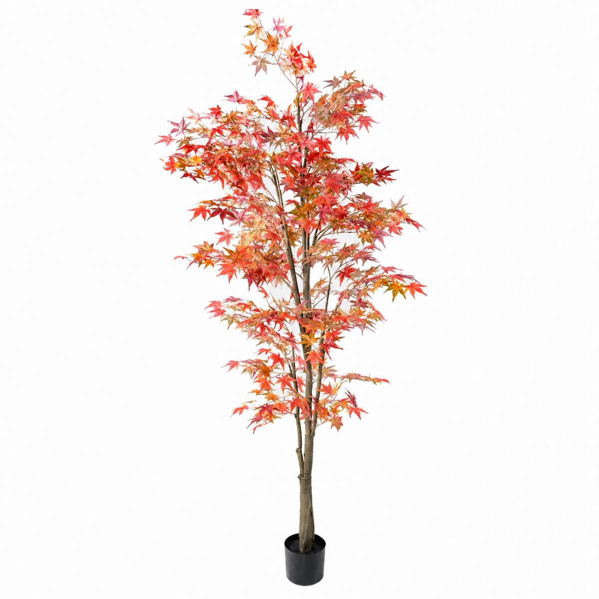 Aralia Artificiel Signature Automne 220 cm | Belle Verdure