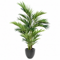 Palmier artificiel Kentia Royal 270 cm | Belle Verdure