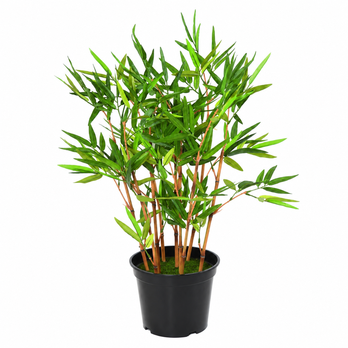 Bambou Artificiel Classique 60 cm | Belle Verdure