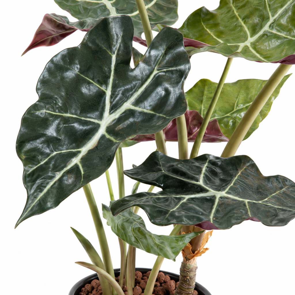 Plante Tropicale Artificiel Alocasia 65 cm | Belle Verdure