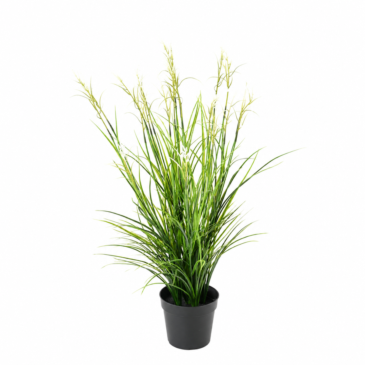 Plante Artificiel Acorus 70cm | Anti-uv