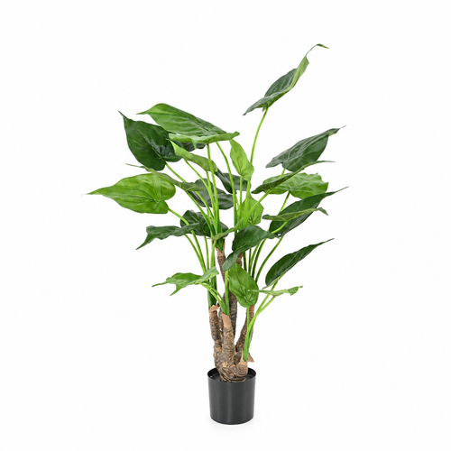 Plante Tropicale Artificiel Alocasia Cucullata 80 cm | Belle Verdure