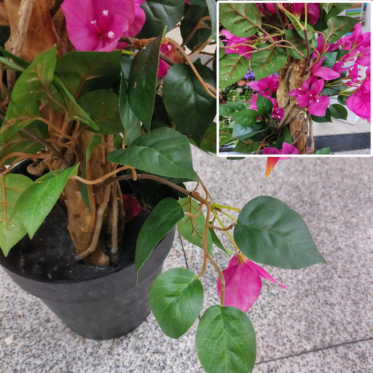 Bougainvillier Artificiel 125cm