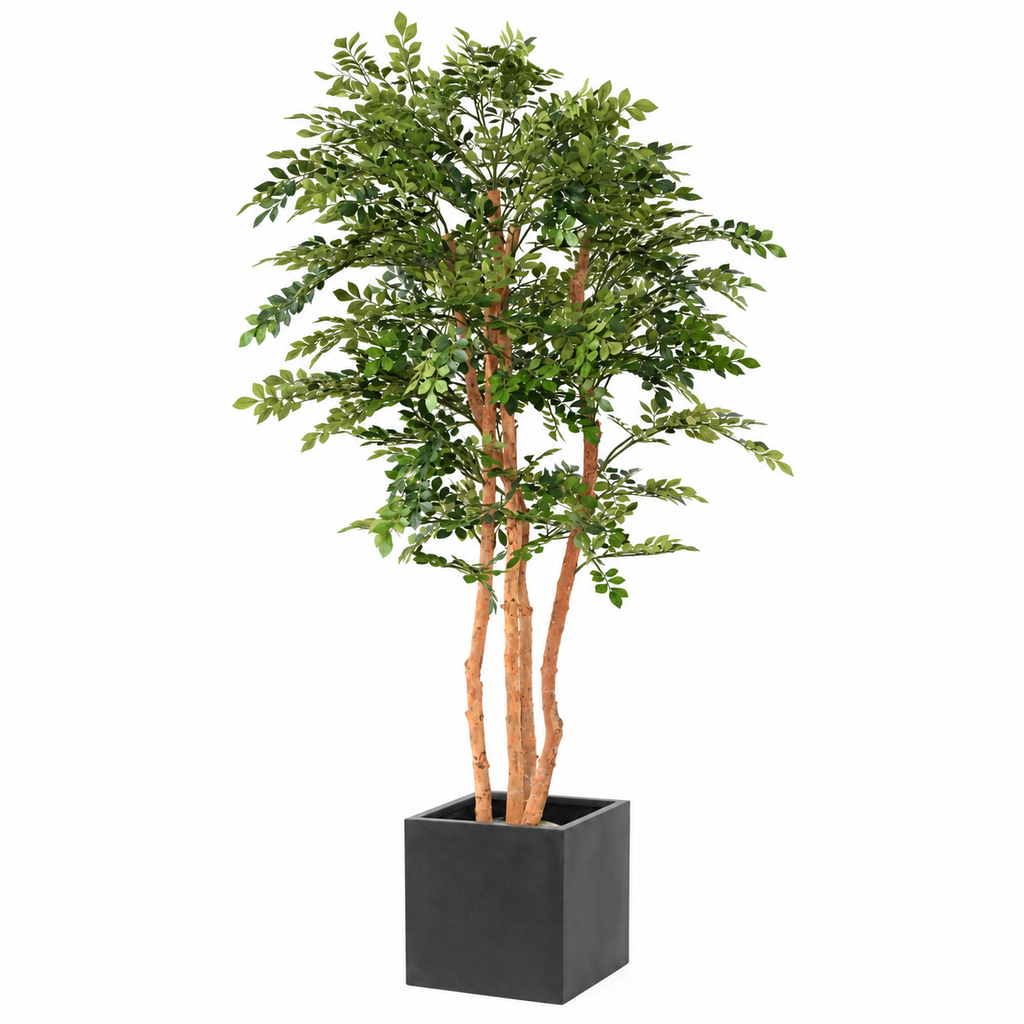 Acacia Artificiel Signature 200 cm | Belle Verdure