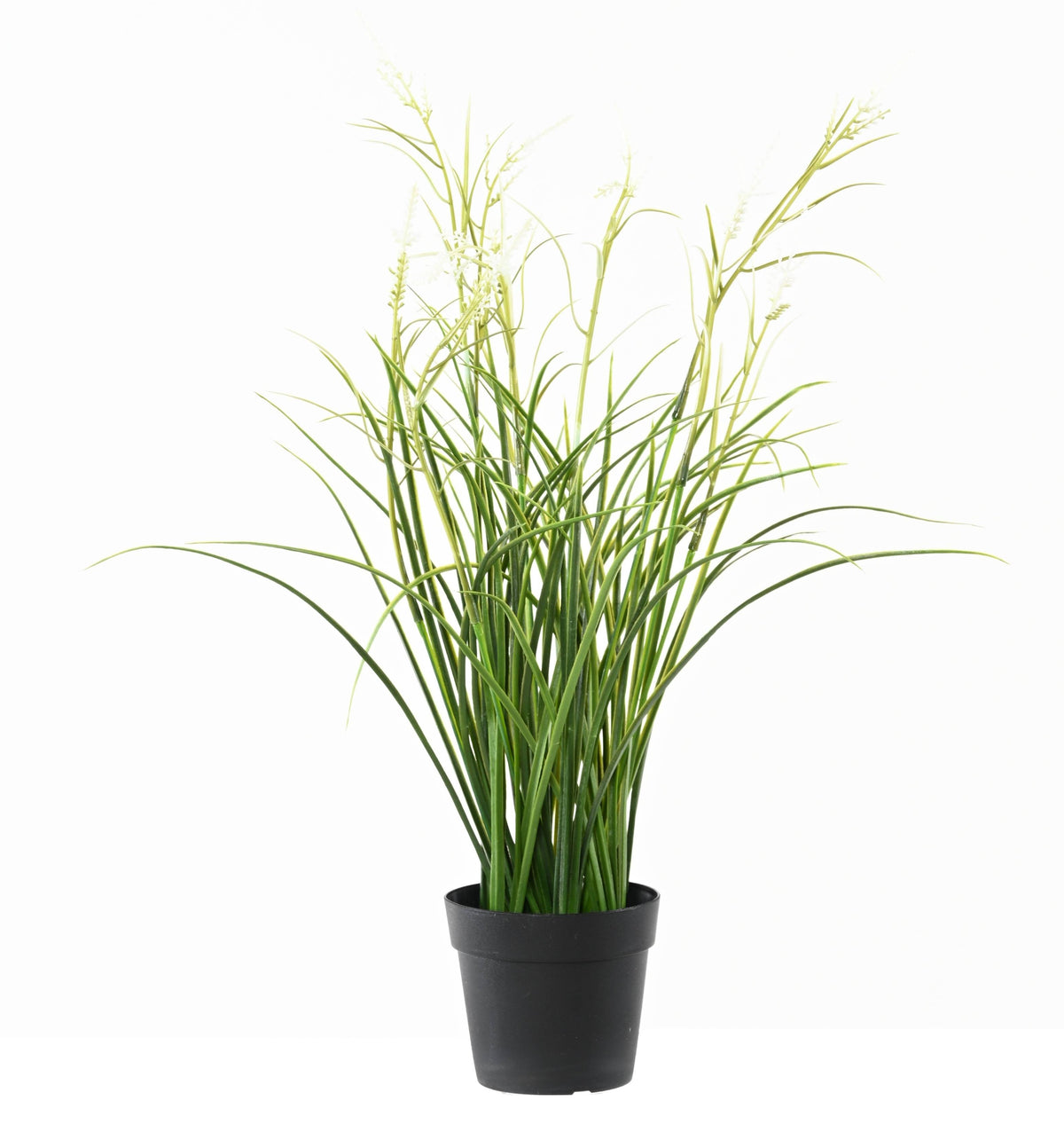 Plante Artificiel Acorus 45cm | Anti-uv