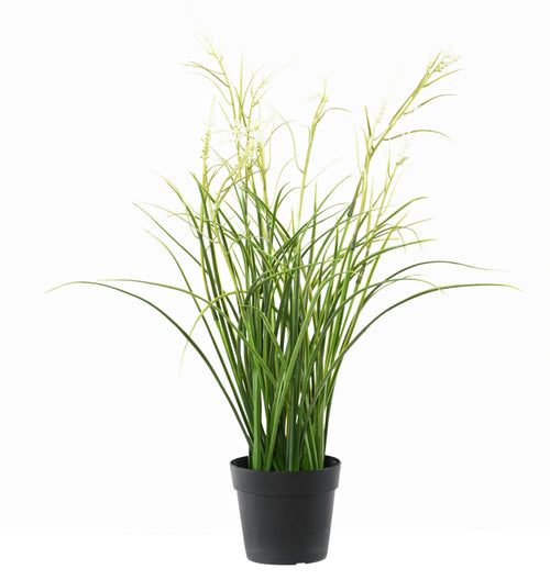Plante Artificiel Acorus 45cm | Anti-uv