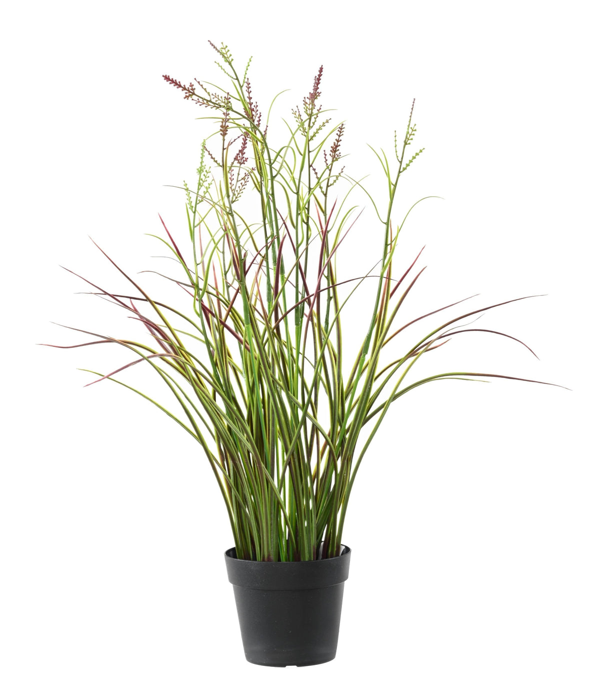 Plante Artificiel Acorus 45cm | Anti-uv