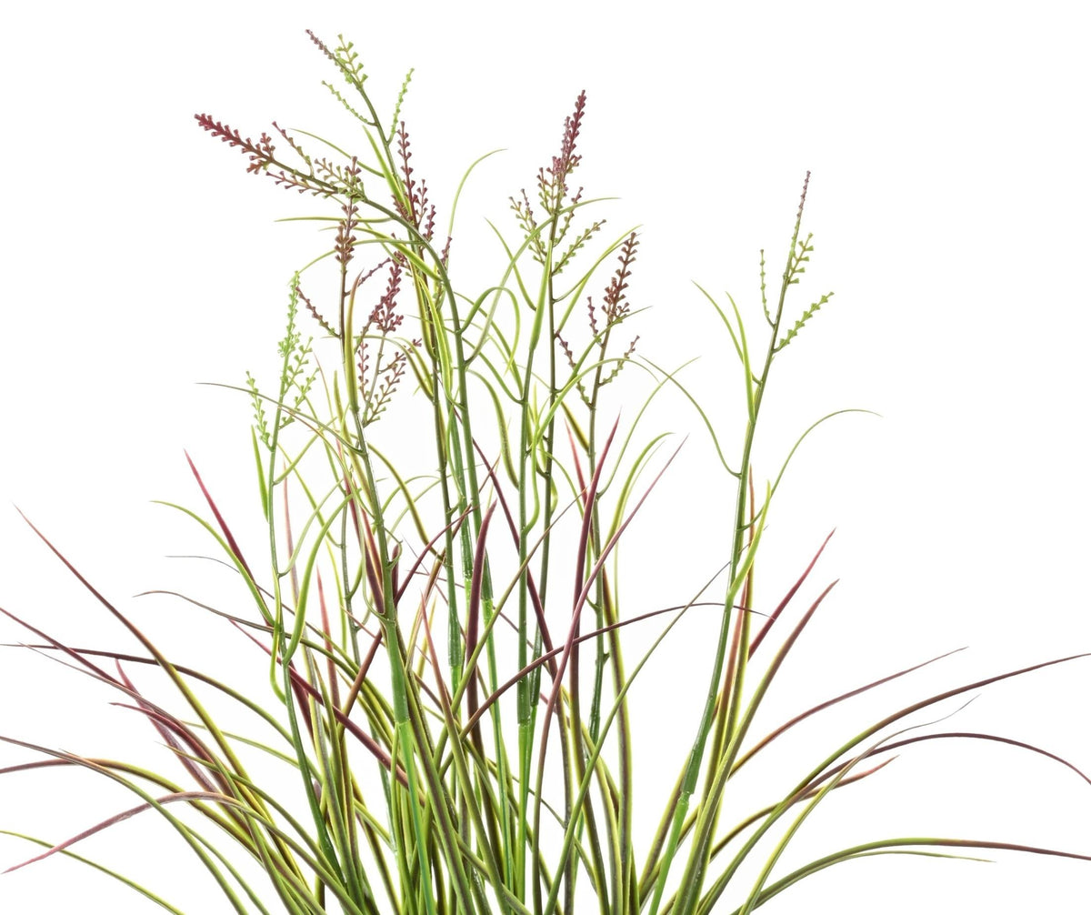Plante Artificiel Acorus 45cm | Anti-uv