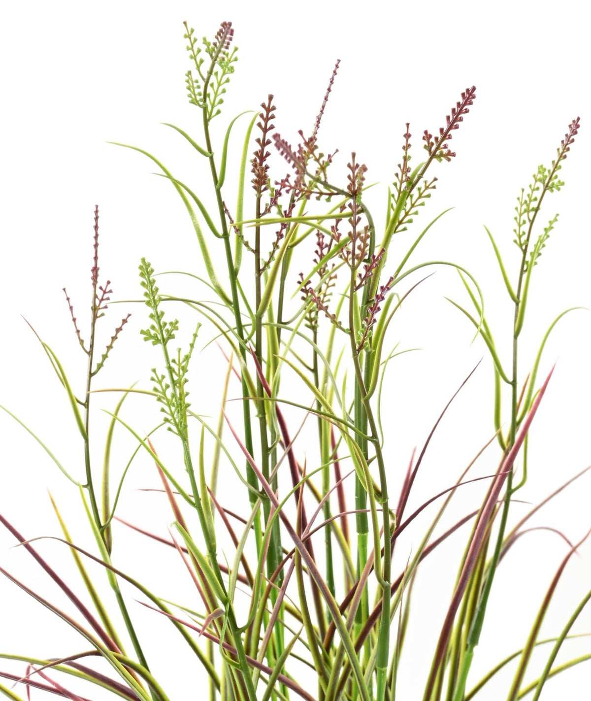 Plante Artificiel Acorus 45cm | Anti-uv