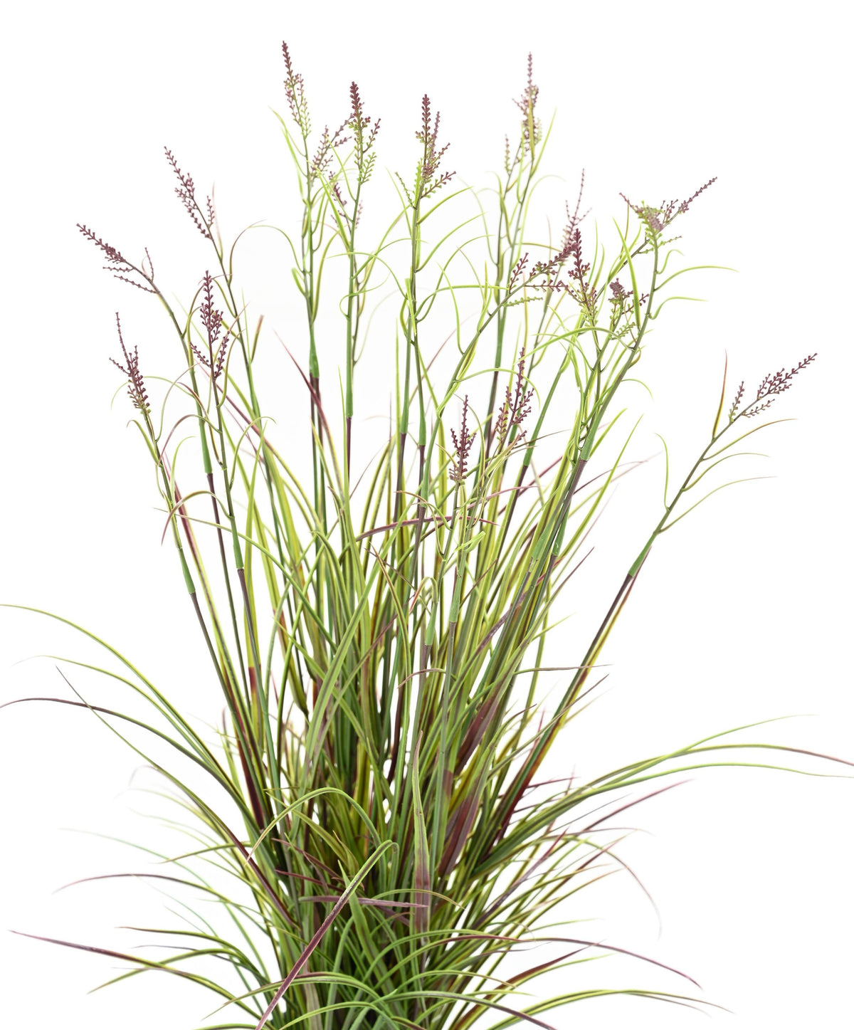 Plante Artificiel Acorus 70cm | Anti-uv