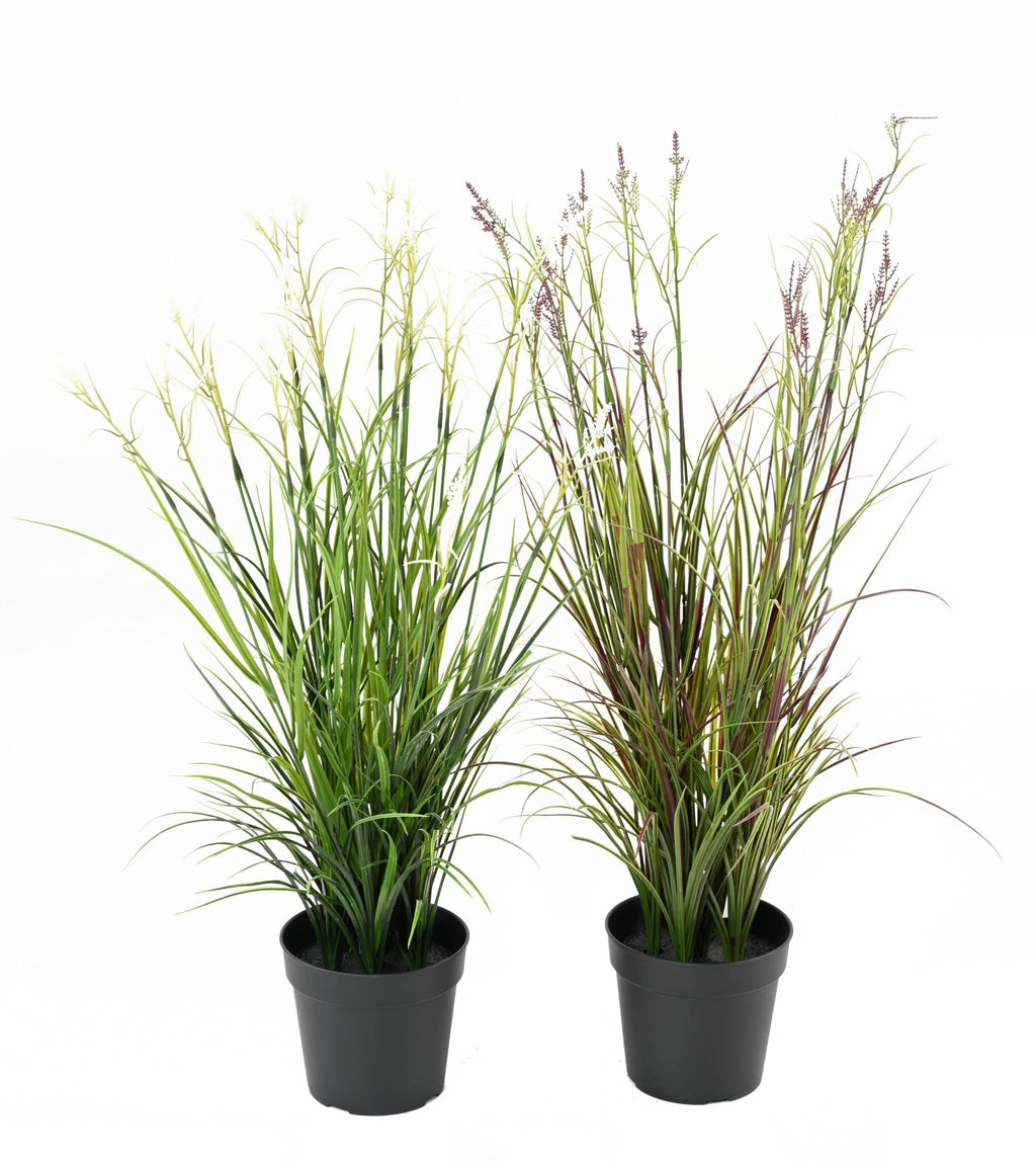 Plante Artificiel Acorus 70cm | Anti-uv