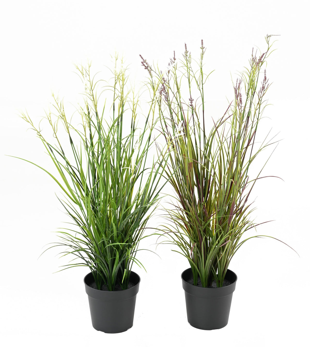 Plante Artificiel Acorus 70cm | Anti-uv