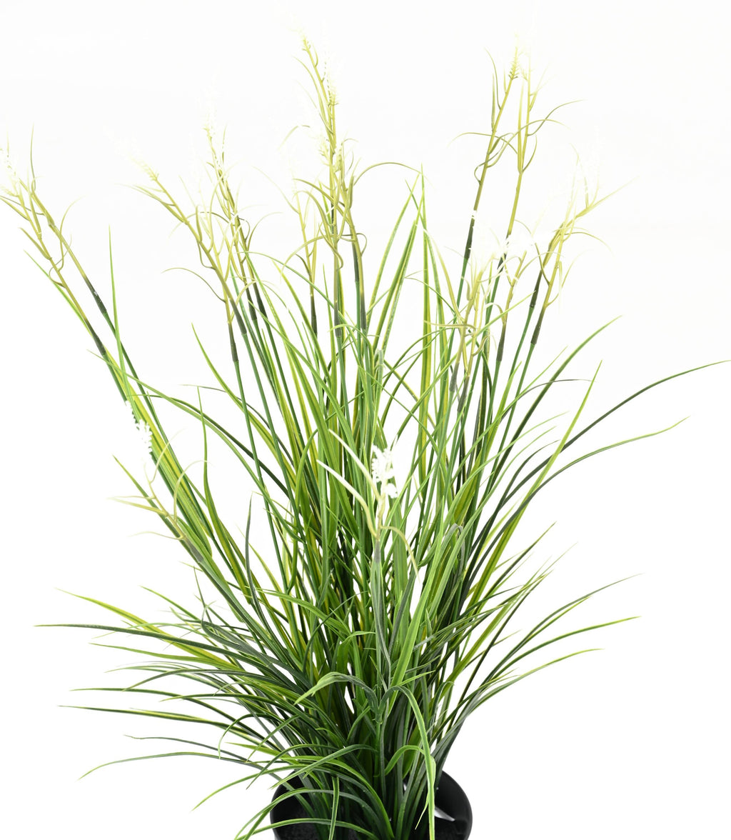 Plante Artificiel Acorus 70cm | Anti-uv