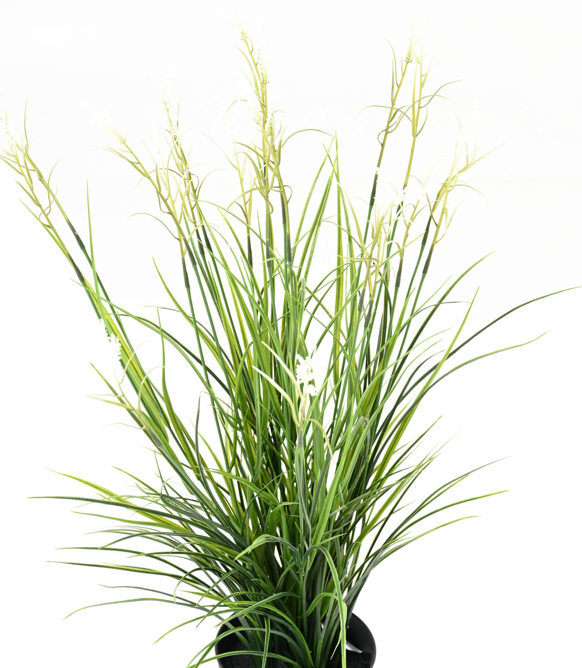 Plante Artificiel Acorus 70cm | Anti-uv