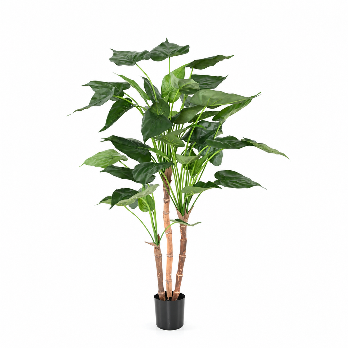 Plante Tropicale Artificiel Alocasia Cucullata 110 cm | Belle Verdure