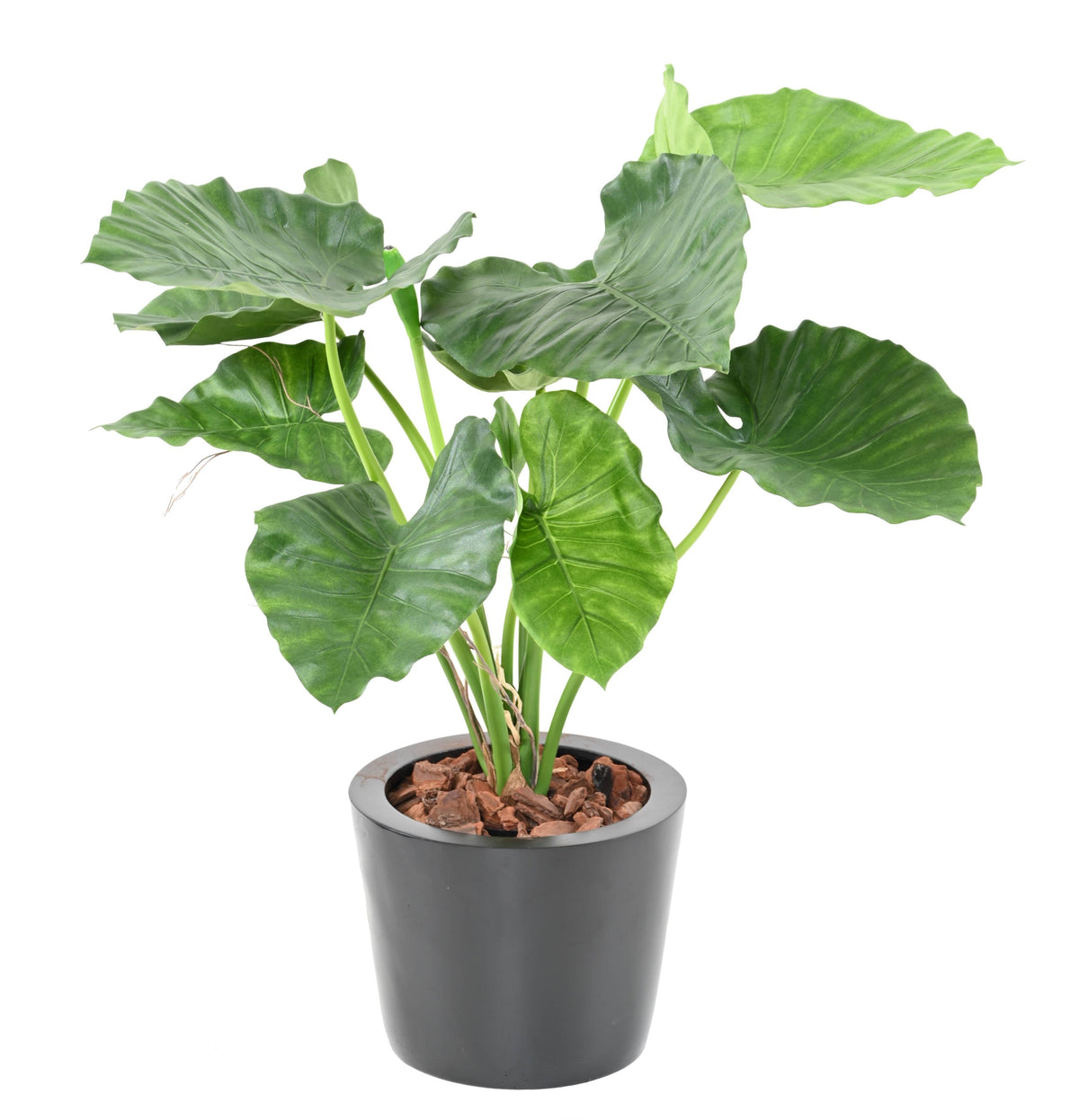 Alocasia Calidora Artificiel 65 cm | Belle Verdure