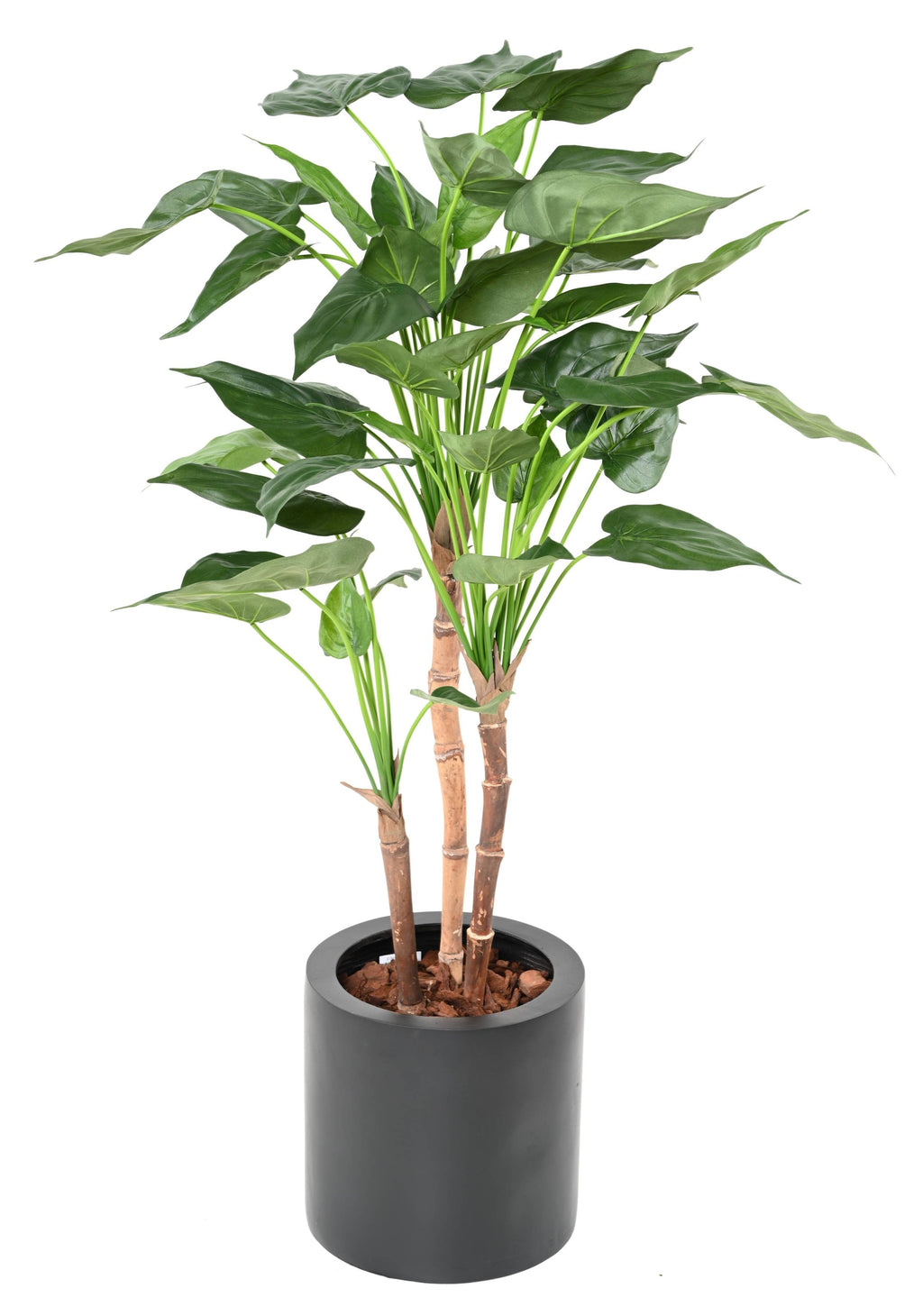 Plante Tropicale Artificiel Alocasia Cucullata 110 cm | Belle Verdure