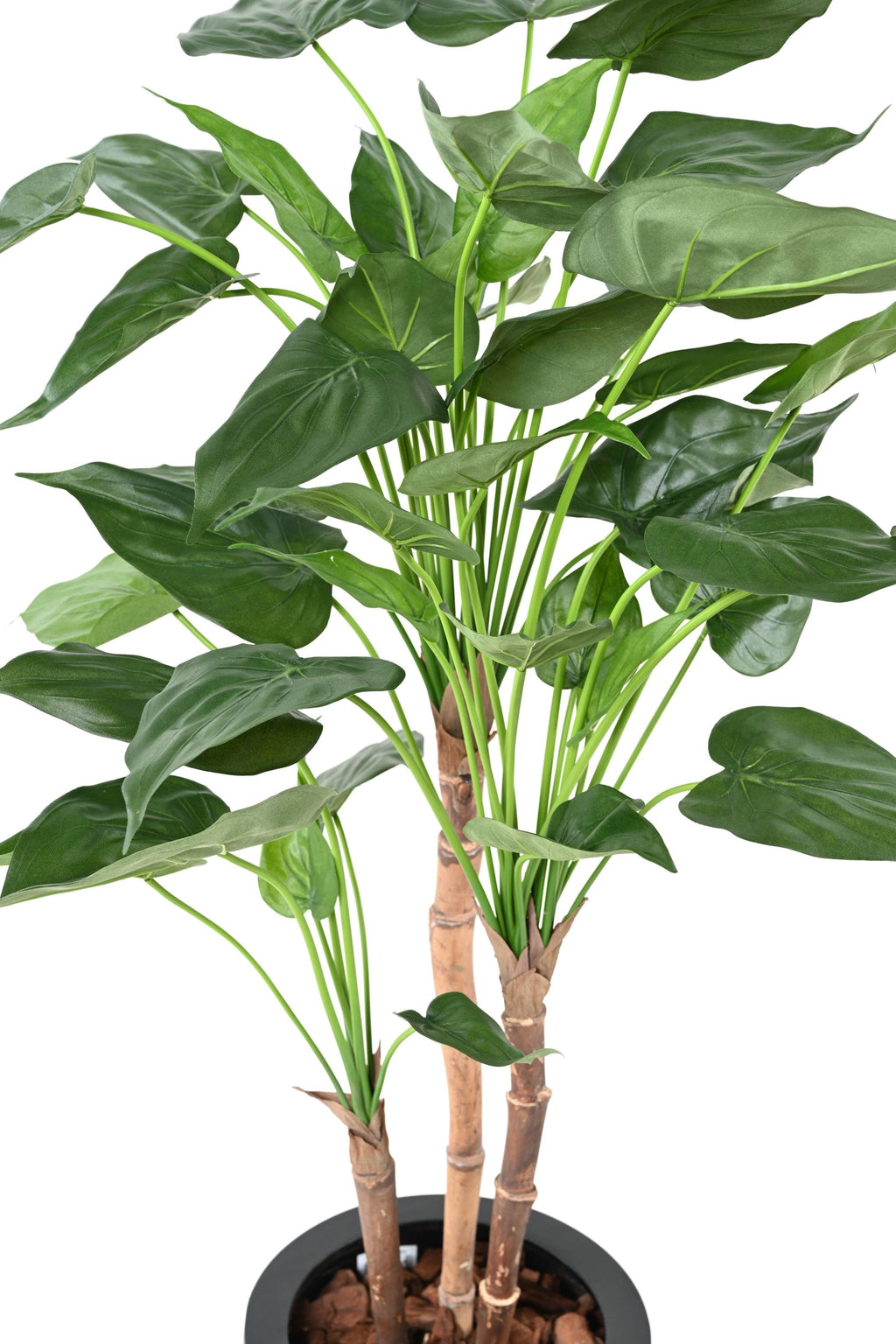 Plante Tropicale Artificiel Alocasia Cucullata 110 cm | Belle Verdure