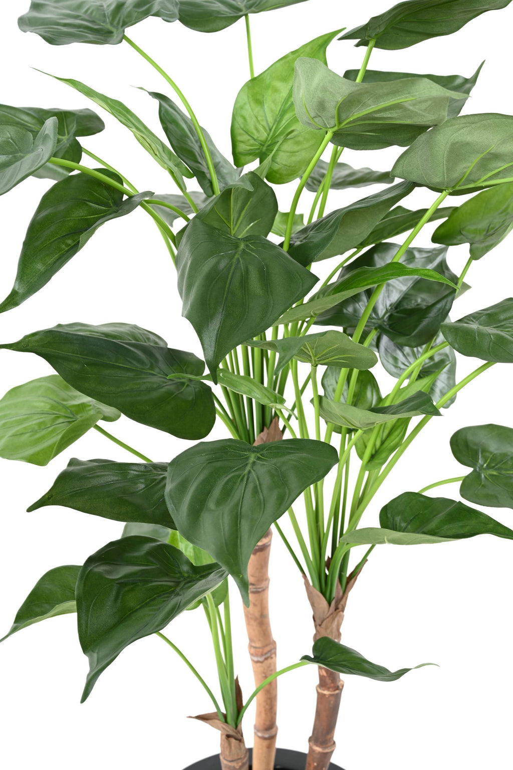 Plante Tropicale Artificiel Alocasia Cucullata 110 cm | Belle Verdure