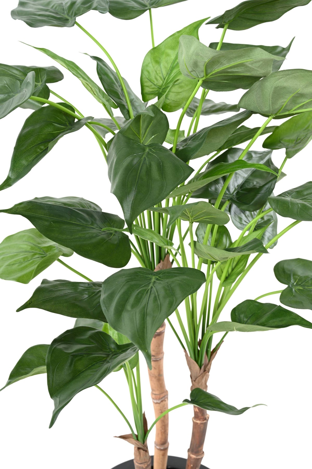 Plante Tropicale Artificiel Alocasia Cucullata 110 cm | Belle Verdure