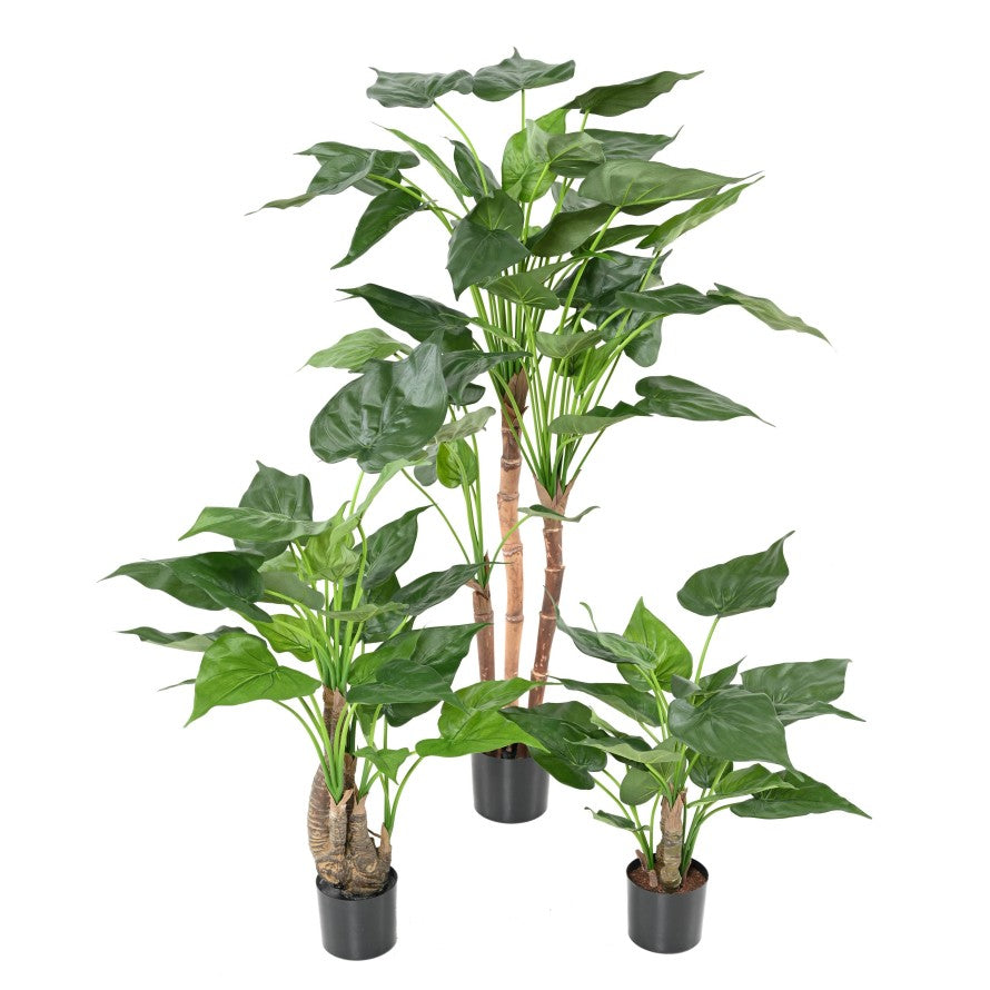 Plante Tropicale Artificiel Alocasia Cucullata 80 cm | Belle Verdure