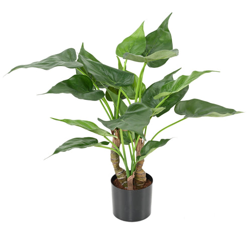 Plante Tropicale Artificiel Alocasia Cucullata 50 cm | Belle Verdure