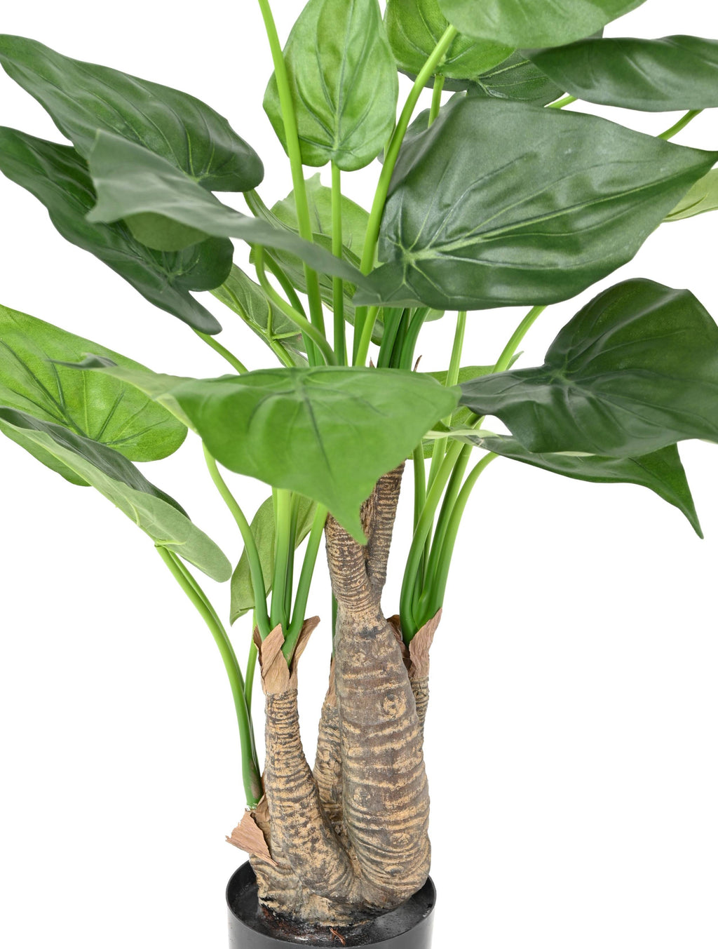 Plante Tropicale Artificiel Alocasia Cucullata 80 cm | Belle Verdure