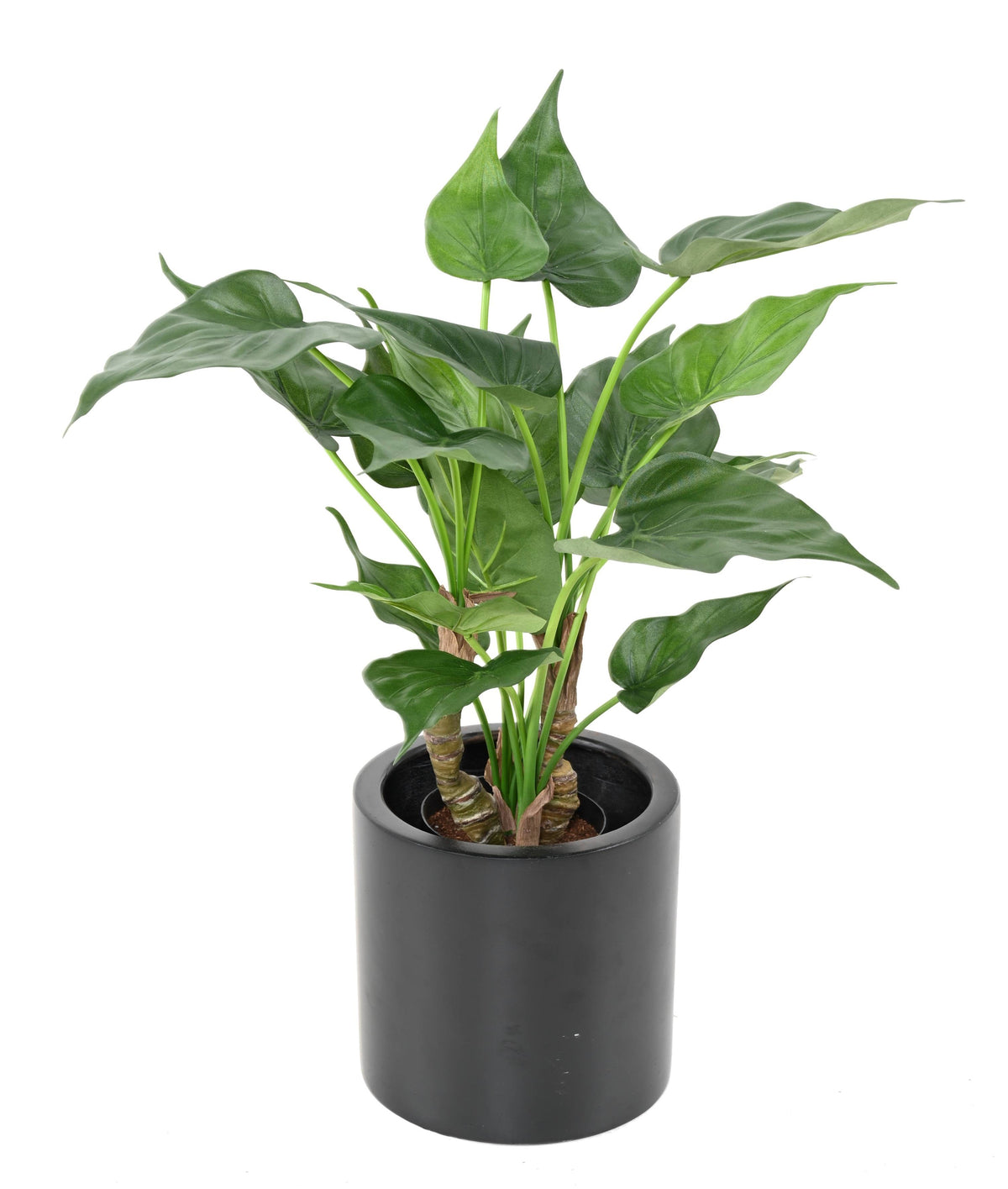 Plante Tropicale Artificiel Alocasia Cucullata 50 cm | Belle Verdure