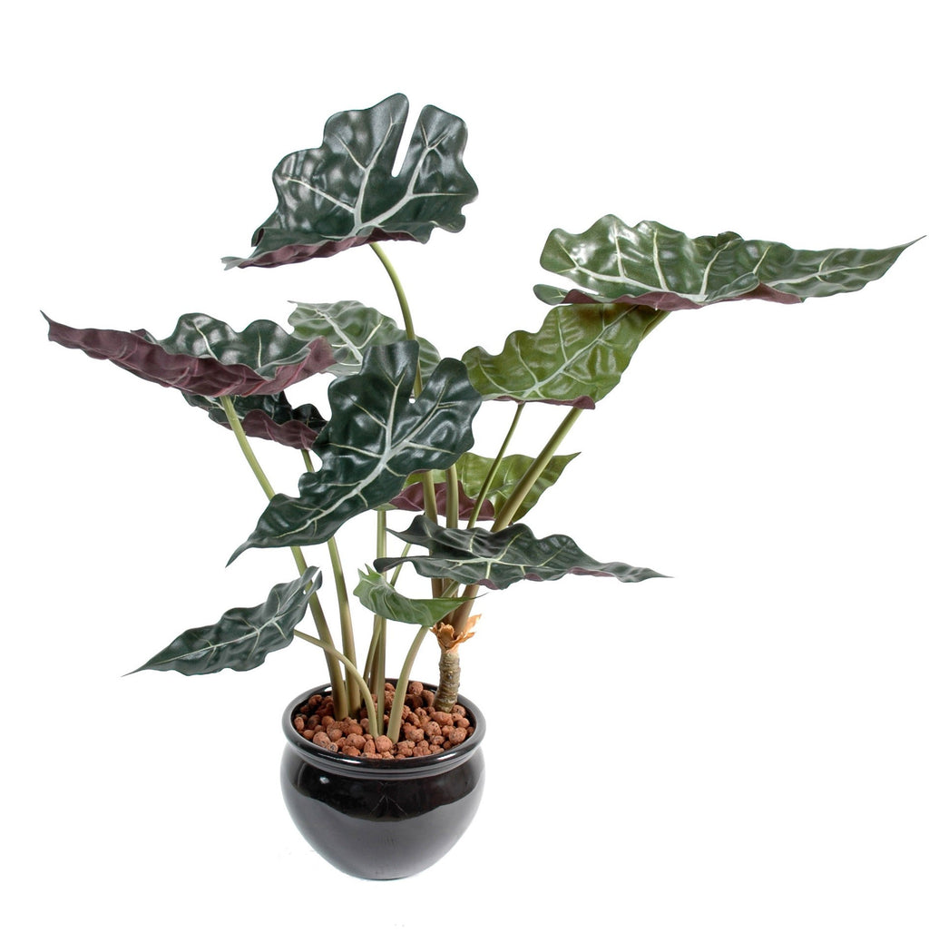 Plante Tropicale Artificiel Alocasia 65 cm | Belle Verdure
