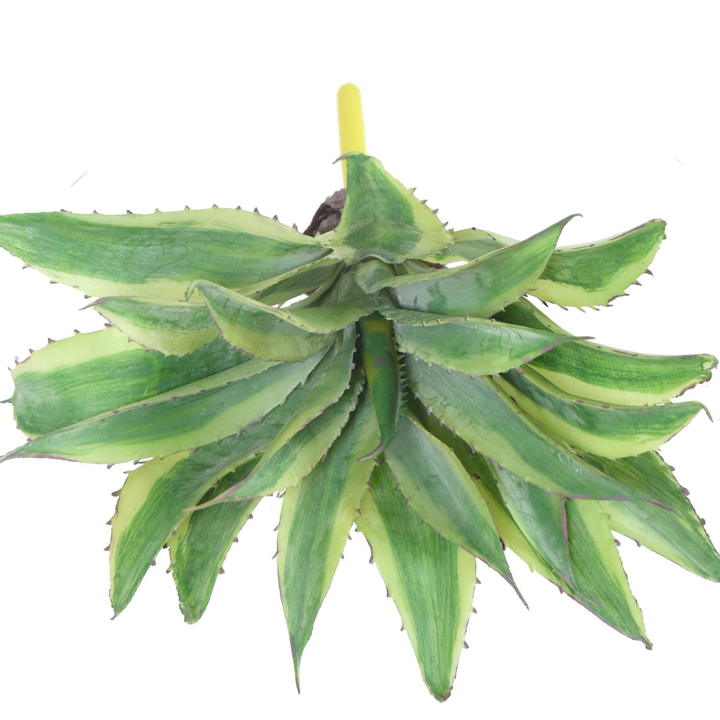 Plante artificielle Aloé Vert 27 cm | Belle Verdure