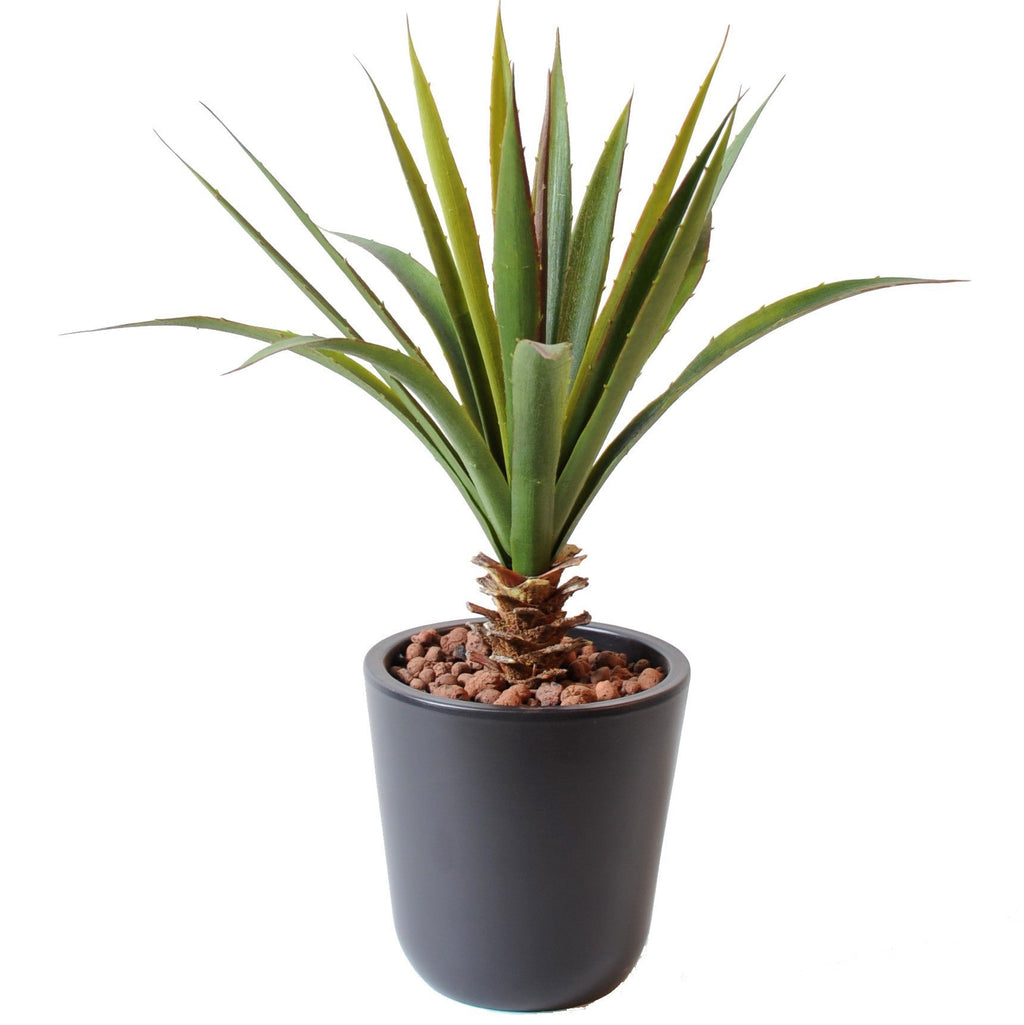Plante artificielle Aloé Ferox Vert 45 cm | Belle Verdure