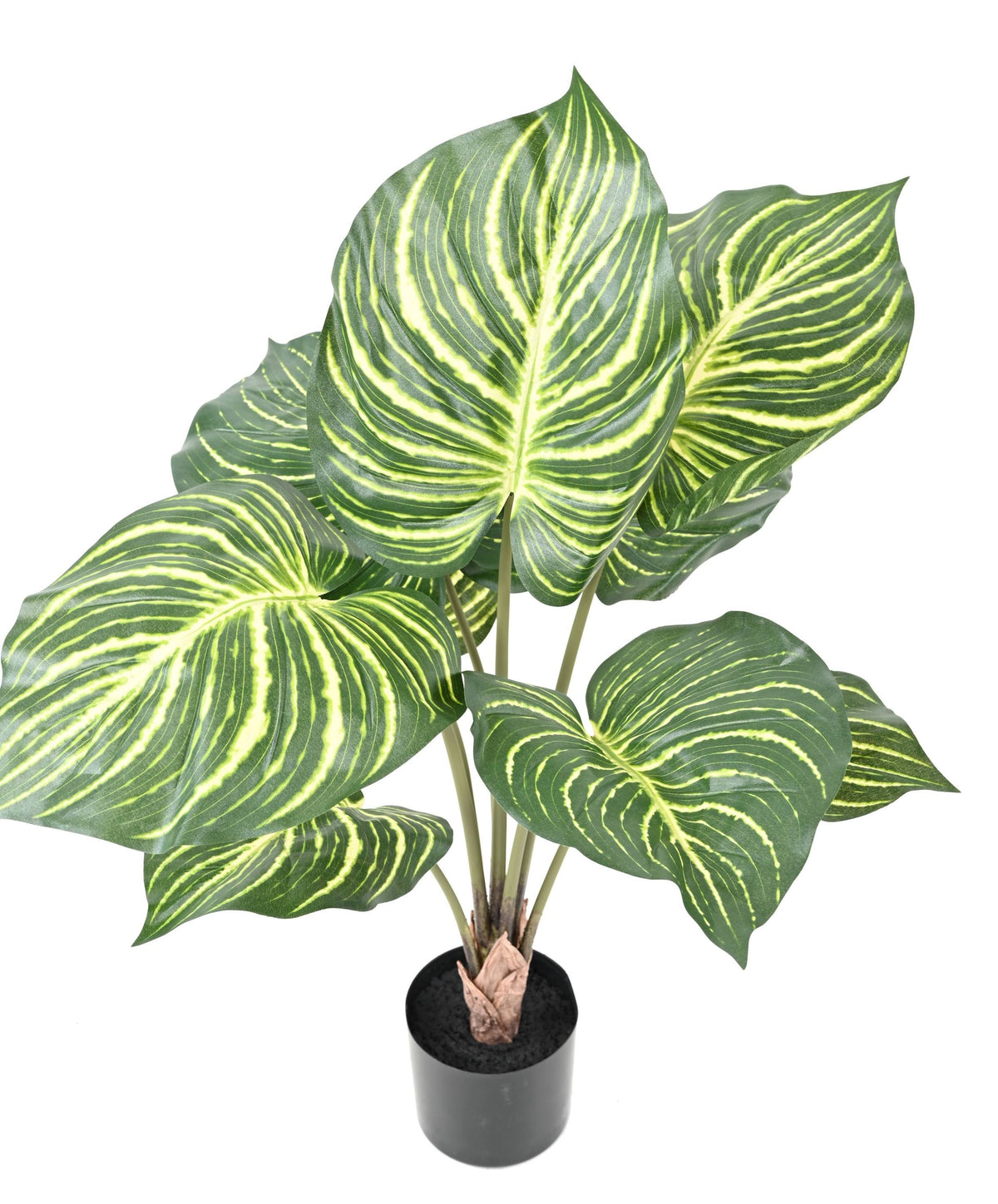 Plante Tropicale Artificiel Aphelandra 70 cm | Belle Verdure