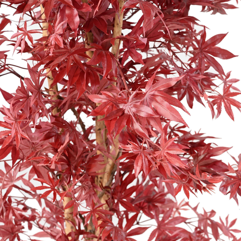 Aralia Artificiel Élégance Rouge 190 cm | Belle Verdure