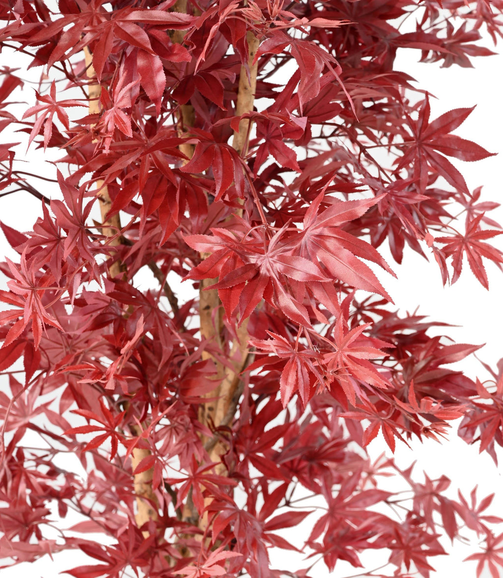 Aralia Artificiel Élégance Rouge 160 cm | Belle Verdure